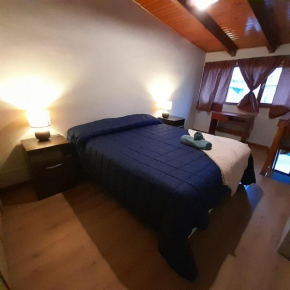 Diuca San Carlos De Bariloche